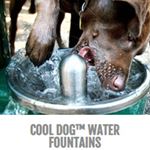 View Cool Dog Water Fountains